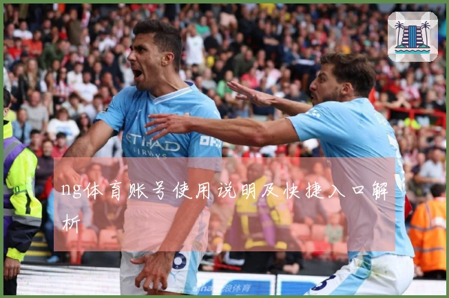 ng体育账号使用说明及快捷入口解析