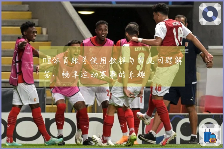 ng体育账号使用教程与常见问题解答，畅享运动赛事的乐趣