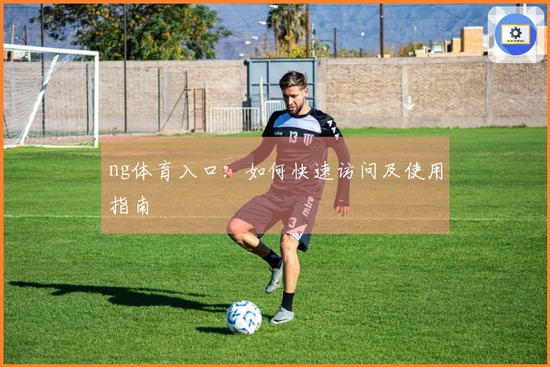 ng体育入口：如何快速访问及使用指南