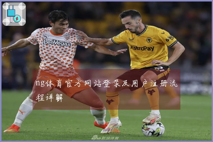 ng体育官方网站登录及用户注册流程详解