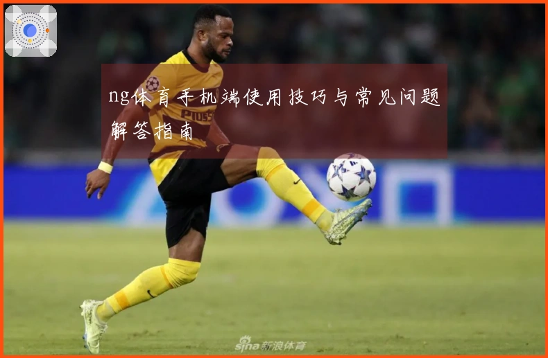 ng体育手机端使用技巧与常见问题解答指南