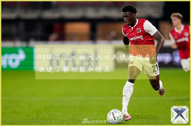 ng体育官方访问入口及使用指南，快速了解功能和特点