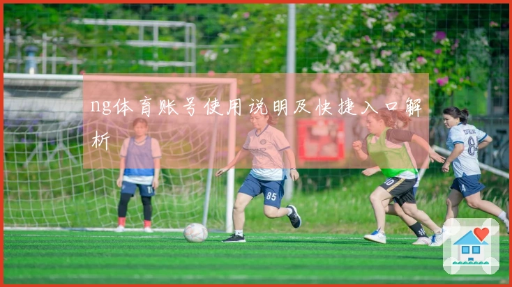 ng体育账号使用说明及快捷入口解析